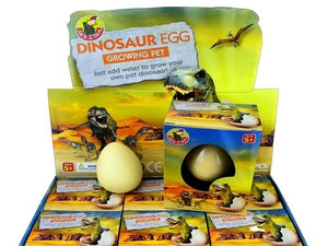 Growing Pet Dinosaur Egg