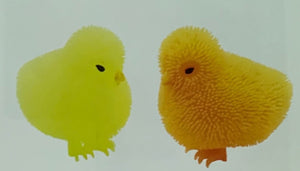 Puffer Chicks